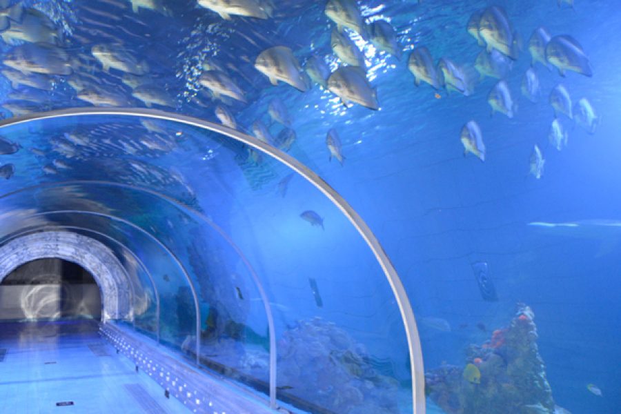 zen-tour-hurghada-aquarium1